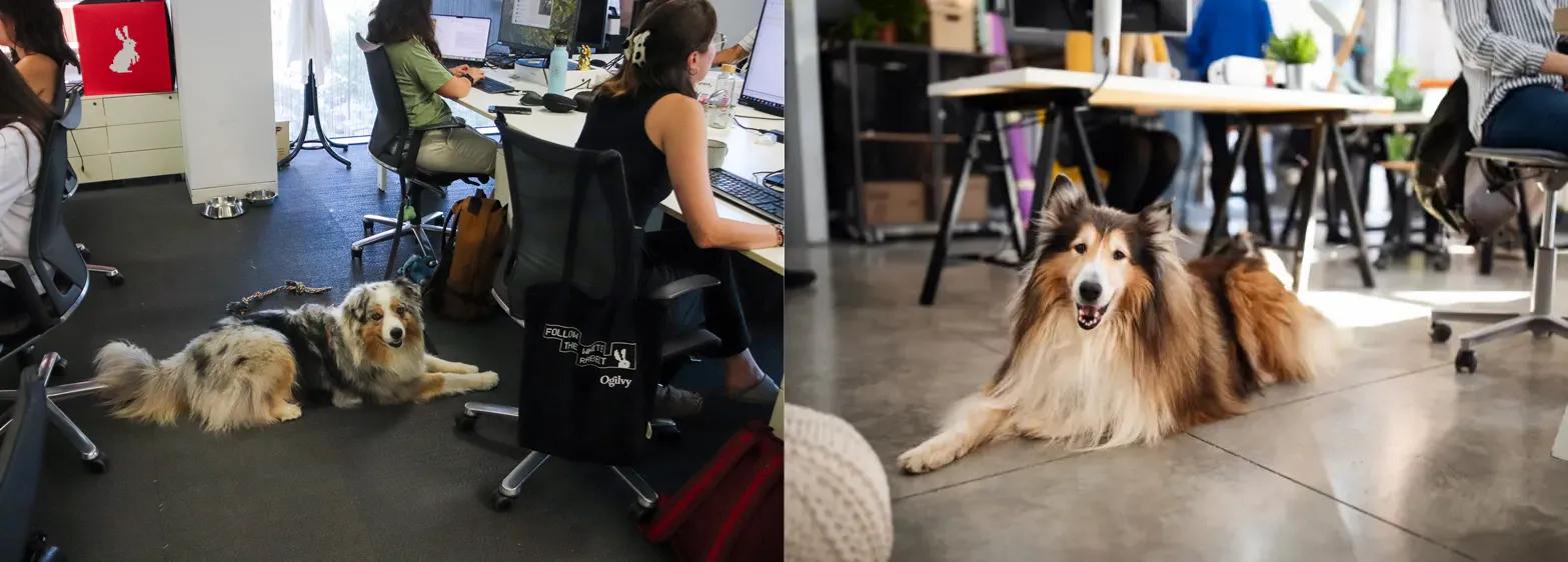 about-us3.jpg about-us3.jpg